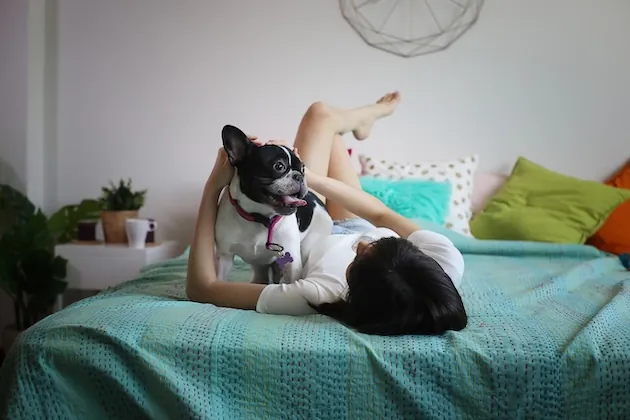 How to Choose the Right Breed for Apartment Living (Low-Maintenance Picks)