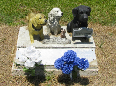 Is Pet Cremation or Burial Better? Costs, Services & What to Expect