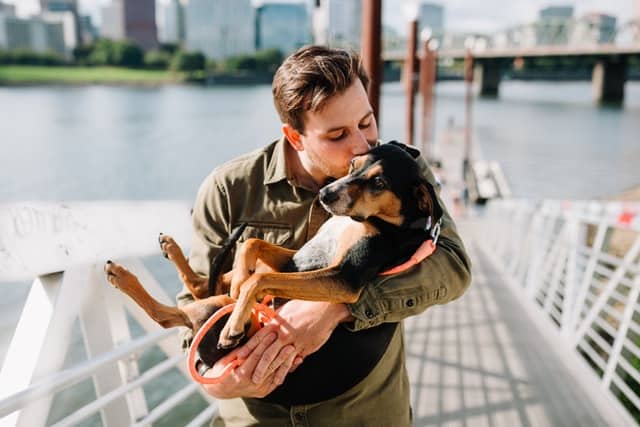 How to Choose the Right Pet Health Insurance for Senior Dogs