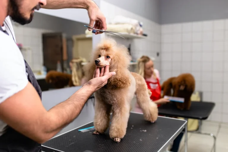 How to Start a Pet Grooming Business from Home: A Step-by-Step Guide