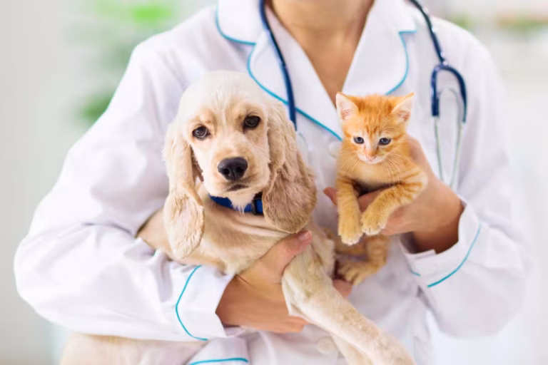 How Much Does a Vet Visit Cost in 2025? Price Guide by Pet Type
