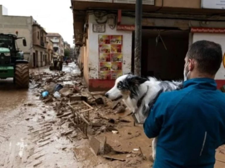Trapped in a Flood, This Kitten’s Rescue Defied All Odds