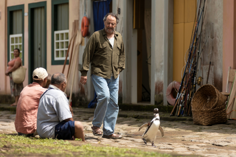 Every Morning, This Penguin Walks 5 Miles to Thank the Man Who Saved Him