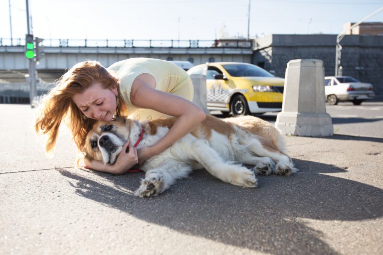 She Dragged Herself Across the Road for Help — And Found a Miracle